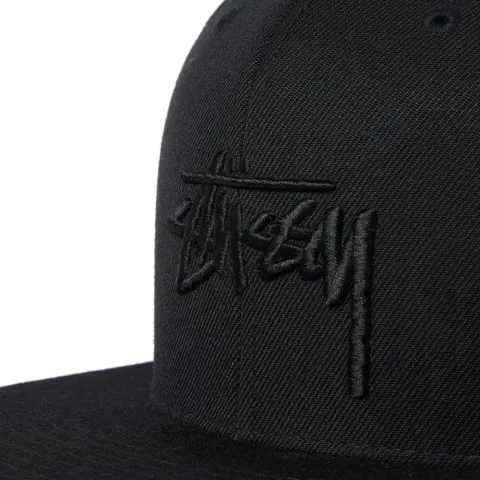 Stock HOL16 Snapback Cap