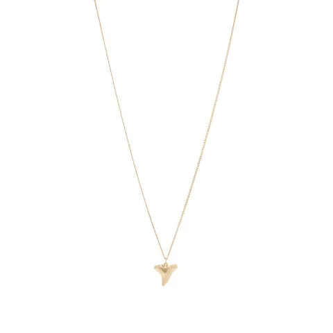 Shark Tooth Pendant Necklace