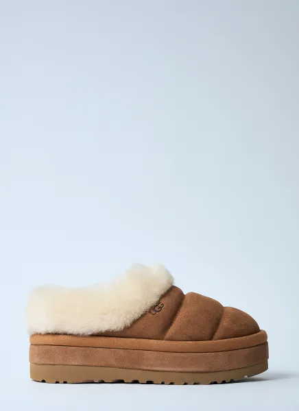 Tazzlita Slippers