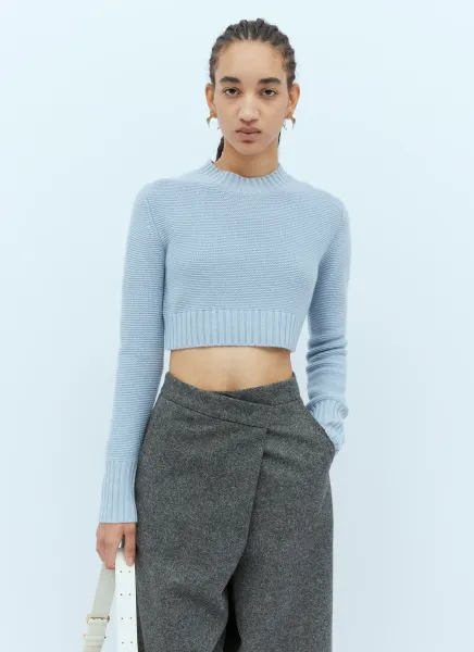 Cashmere Knit Crop Sweater