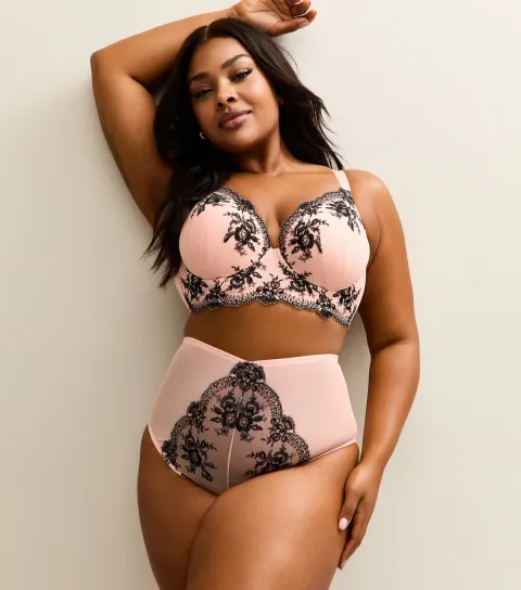 Women's Plus Size Light Pink Eyelash Embroidered High Waist Briefs Curves