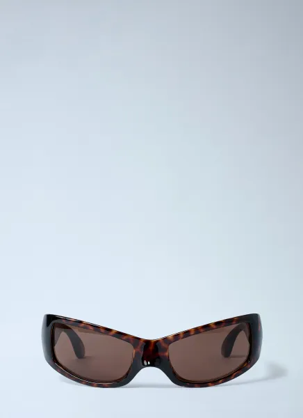 Raven Cat Sunglasses