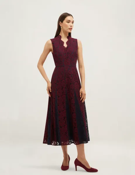 Hobbs Lace V-Neck Knee Length Skater Dress Purple