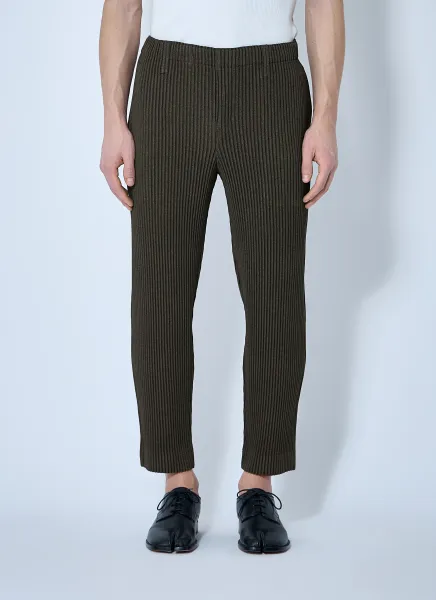 Pleated Pants