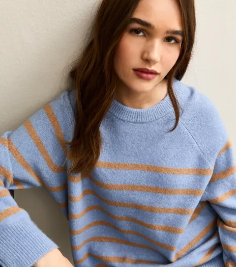 Women's Light Blue Striped Raglan Sleeves Oversized Jumper