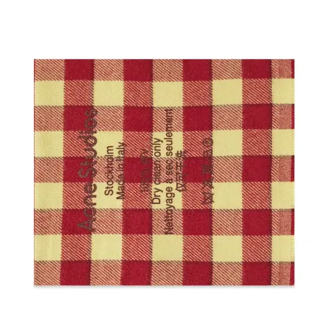 Cassiar Check Narrow New Scarf