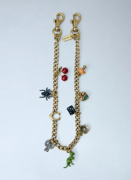 Coach Chain Strap With Charms
