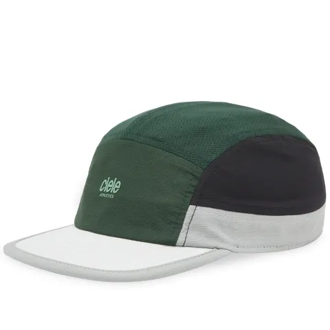 ALZ Cap