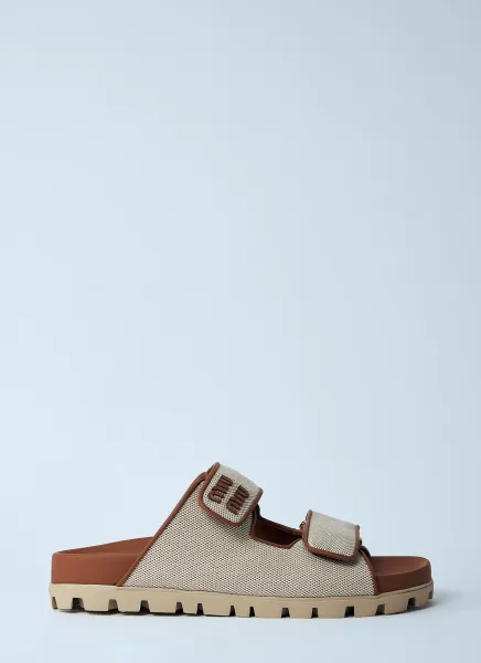 Logo Motif Slides