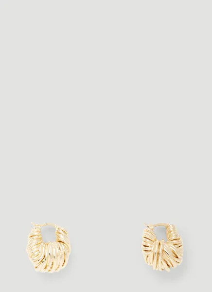 Twisted Hoop Earrings