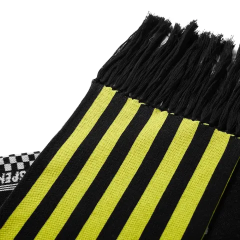 Team Scarf