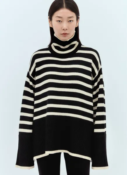 Signature Stripe Roll Neck Sweater