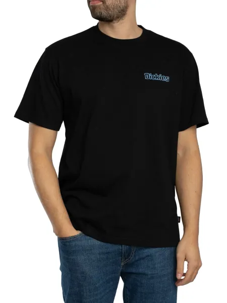 Dickies Fairland Back Graphic T-Shirt