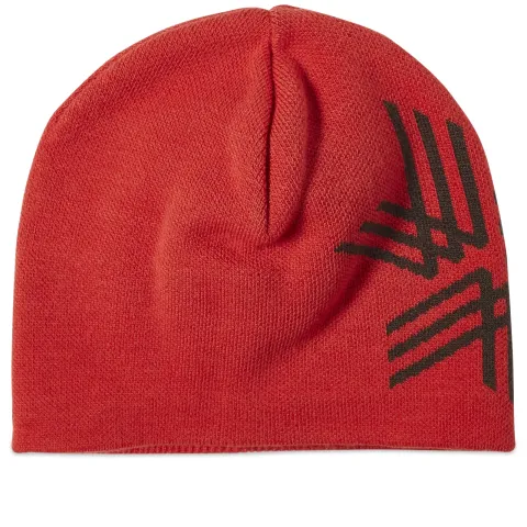 Big Logo Beanie