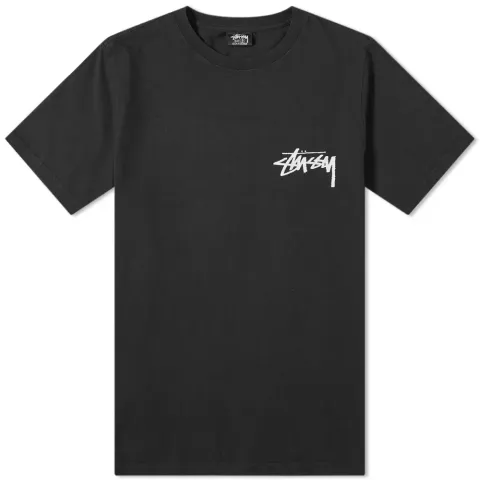 Painter Pigment Dyed Tee
