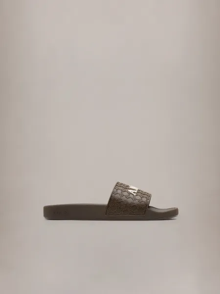 SLIDE - Brown