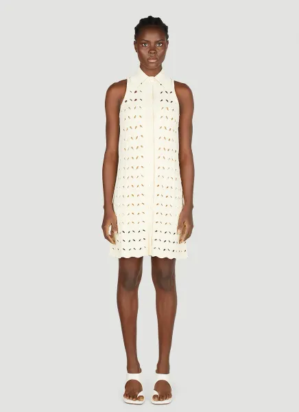 Embroidered Dress