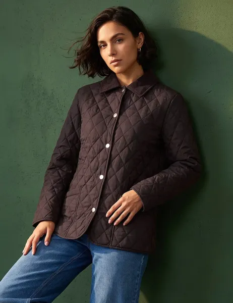 Roman Quilted Collar Jacket Chocolate