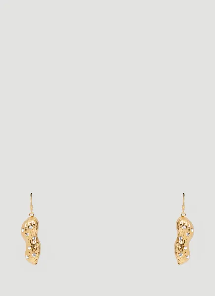 Charm Earrings