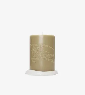 Ginger and Caramel Candle in Hunter taupe