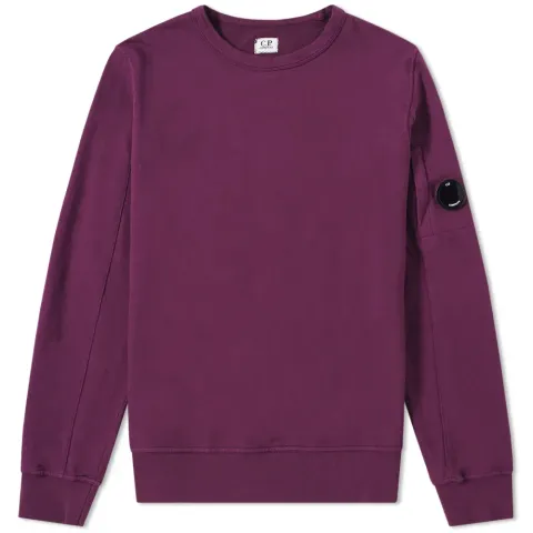 Arm Lens Crew Sweat