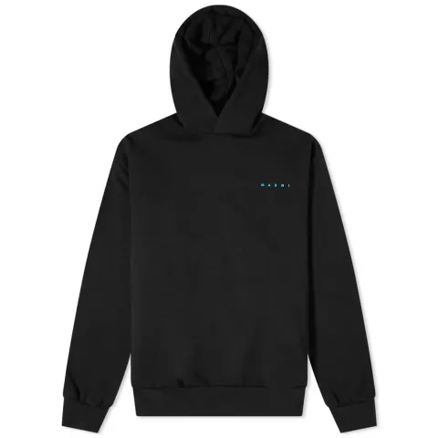 Logo Graphic Back Popover Hoodie