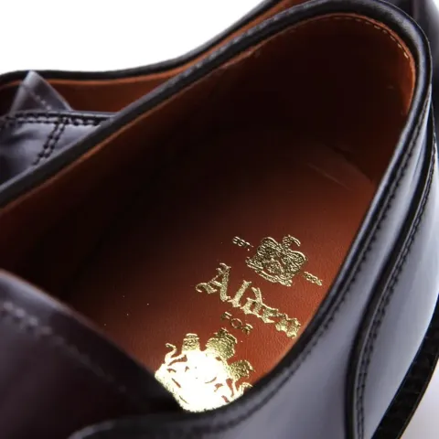 Alden Straight Tip Blucher
