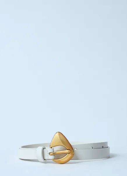 Fin Belt
