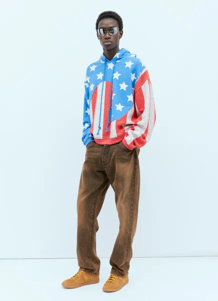 Stars And Stripe Swirls Hooded Sweatshirt