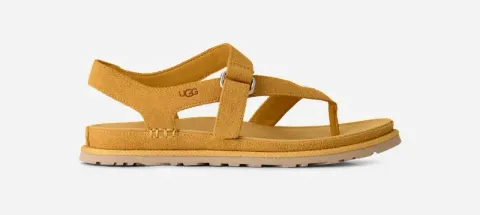 GoldenGaze Toe Post Sandal, Suede/Polyester/Leather
