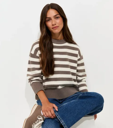 Women's Petite Brown Narrow Stripe Crew Neck Knit Jumper