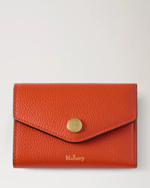 Folded Multi-Card Wallet