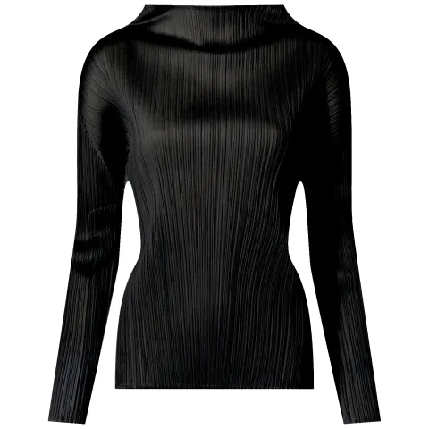 Basics Pleats Roll Neck Long Slee