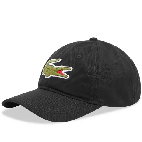 Large Logo Cap