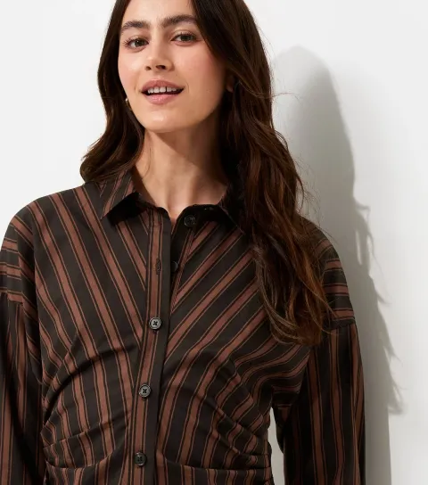 Women's Brown Cotton Striped Mini Shirt Dress