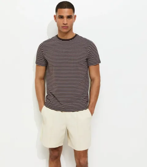 Men's Brown Regular Short Sleeve Striped T-Shirt