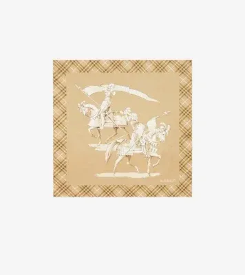 Archive Knight Silk Scarf in Finch beige