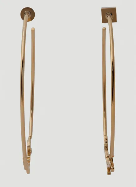 Les Créoles Hoop Earrings