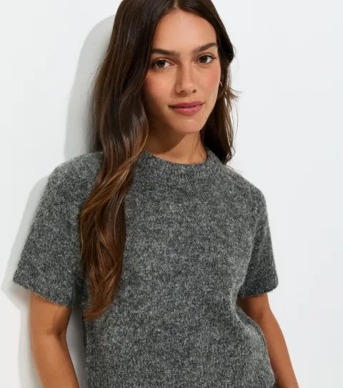 Women's Petite Dark Grey Brushed Knit Short Sleeve Top