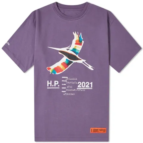 Oversized Heron Rainbow T-Shirt