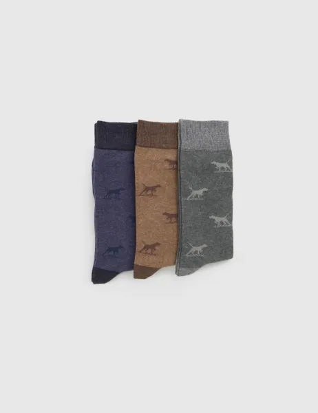 Rodd & Gunn 3 Pack Dogs Cotton Rich Smart Socks Multi