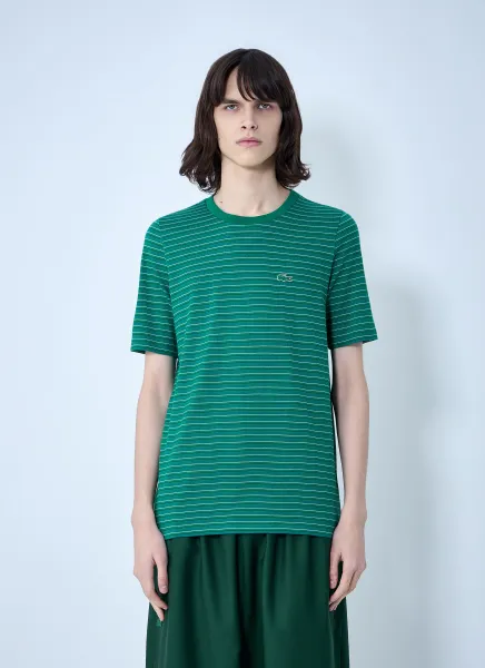 Striped Cotton Jersey T-Shirt