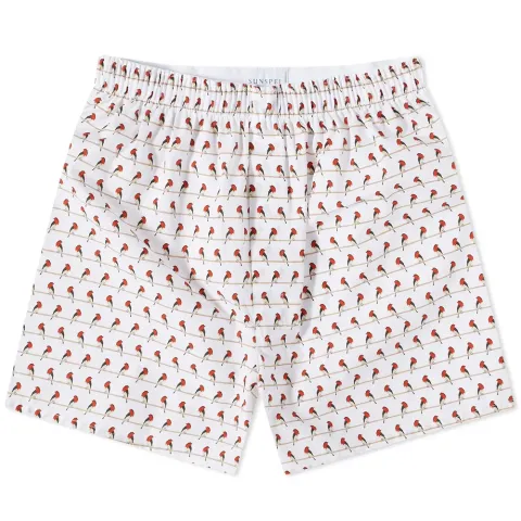 Printed Boxer Shorts