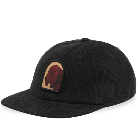 Bloodhound Cord Cap