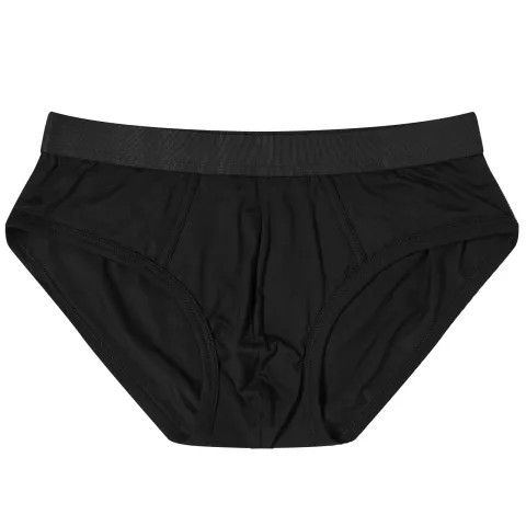 Brief