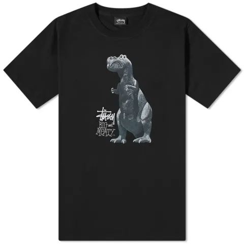 Big & Meaty Pigment Dyed T-Shirt