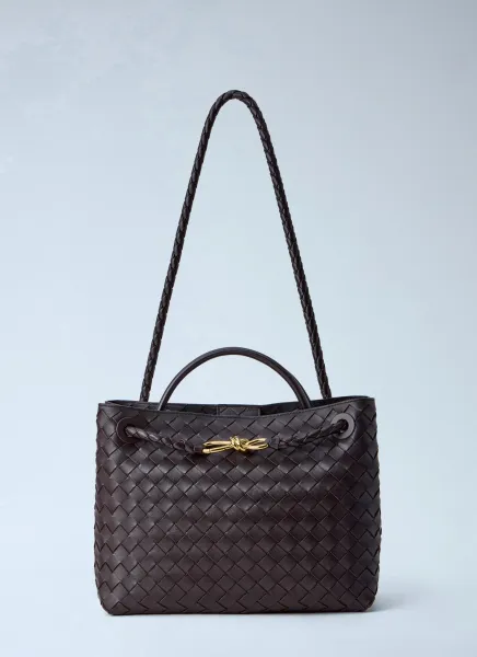 Bottega Veneta Medium Andiamo Handbag