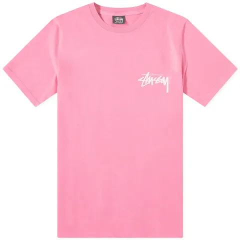 Painter Pigment Dyed Tee