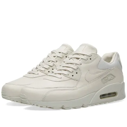 W Air Max 90 Pinnacle