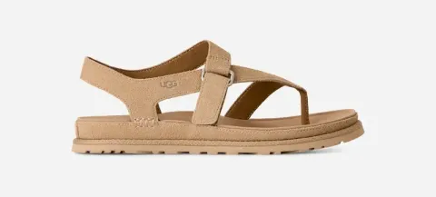 GoldenGaze Toe Post Sandal, Suede/Polyester/Leather